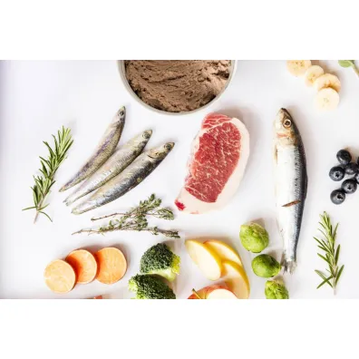Ydolo Puppy - wieprzowina Iberico i ryby - mokra karma dla szczeniąt 400 g Ydolo Puppy - wieprzowina Iberico i ryby - mokra karma dla szczeniąt 400 g