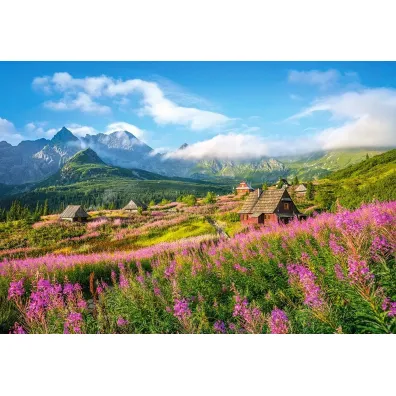 Puzzle 1000 el. Tatry Hala Gąsienicowa Castorland Puzzle 1000 el. Tatry Hala Gąsienicowa Castorland