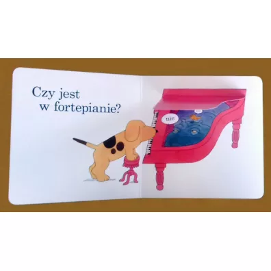 Gdzie jest spot Gdzie jest spot