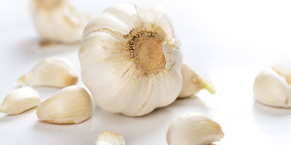 W�a�ciwo�ci czosnku. Najlepszy naturalny antybiotyk?