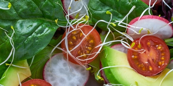 salatka