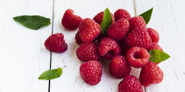 Maliny - w�a�ciwo�ci, warto�ci od�ywcze i zastosowanie w kosmetyce