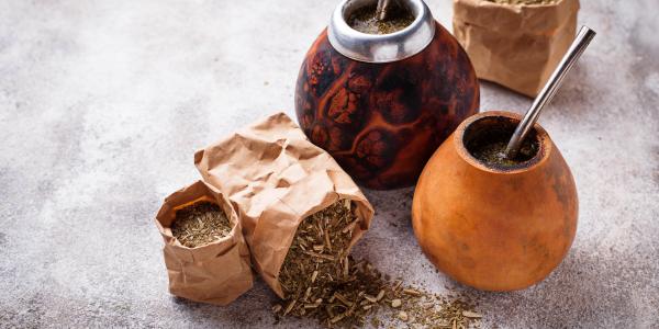 Yerba mate - poci�ty ostrokrzew