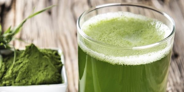 Green Magma - jak dzia�a i dlaczego warto j� stosowa�?