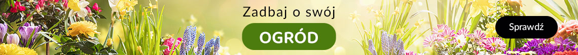 Ogrd