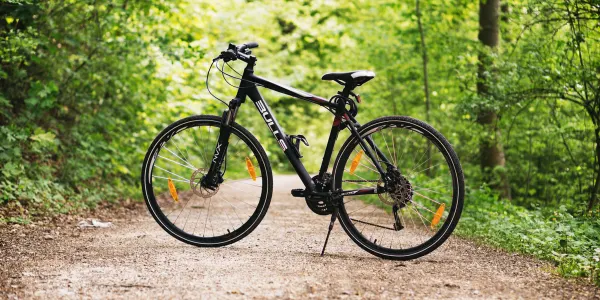 Jaki rower trekkingowy do 4000 z�? Sposoby wyboru i przegl�d mo�liwo�ci
