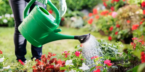 Nawadnianie ogrodu - kompleksowy przewodnik dla pocz�tkuj�cych