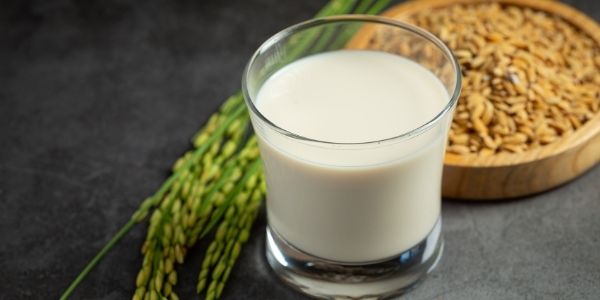 Mleko ryżowe - właściwości, wartości odżywcze i zastosowanie