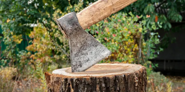 Rodzaje siekier - ktra bdzie najlepsza do rbania drewna, a ktra do prac w ogrodzie?
