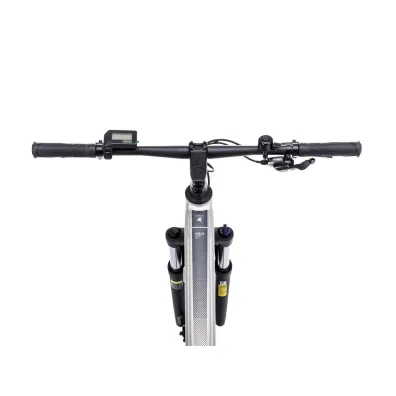 Romet Rower elektryczny E-RAMBLER 2.0 504WH srebrno-grafitowy 18 M