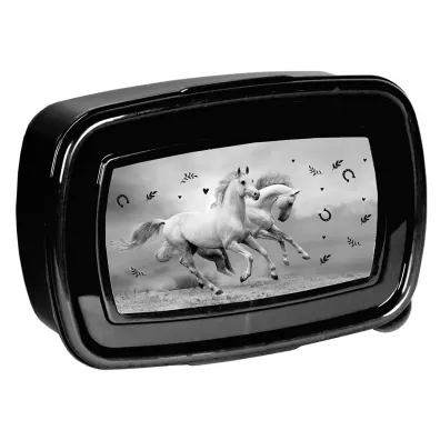 Paso ko niadaniwka PP24KE-3022