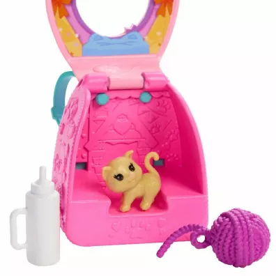 Barbie Family&Friends. Klub Chelsea JBF45 Mattel
