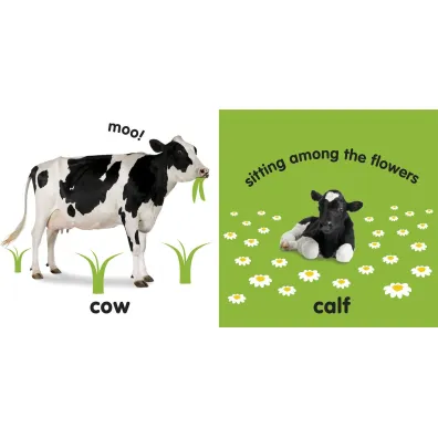Baby Touch and feel Farm Animals.  wer. angielska
