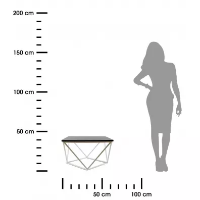 HowHomely Stolik kawowy Curved 60 cm