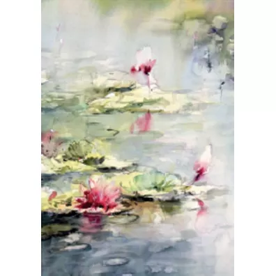 DaVinci Karnet B-BJ 202 387 + koperta Lilia wodna 12x18 cm