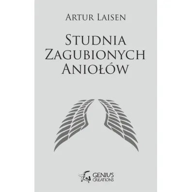 Studnia Zagubionych Anio��w - Artur Laisen