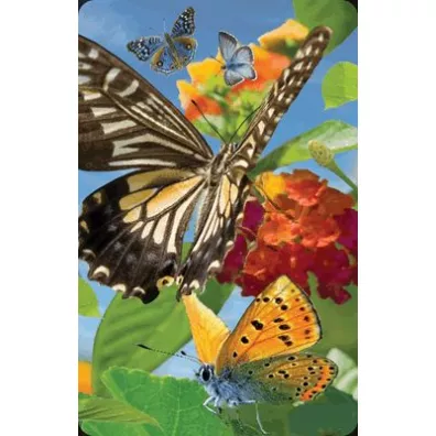 Worth Keeping Mini kartka 3D Motyl