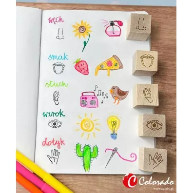 Stemple 5 zmys��w Colorado