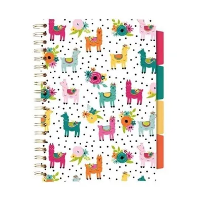 Pukka Pad Pukka Project Book Colour Wash B5 linia 100 kartek 3 szt.