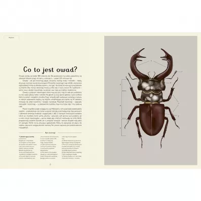 Insektarium. Muzeum Owad�w