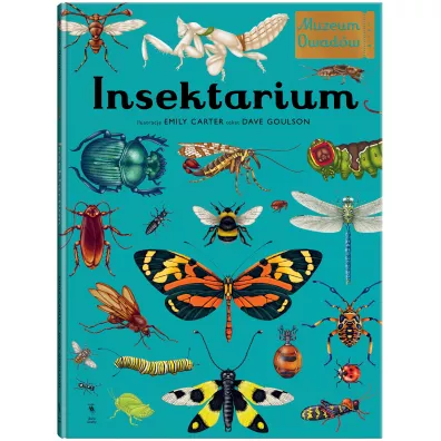Insektarium. Muzeum Owad�w