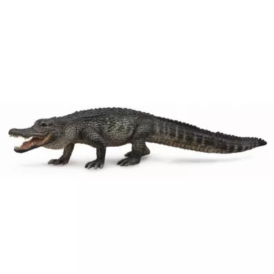 Aligator amerykaski