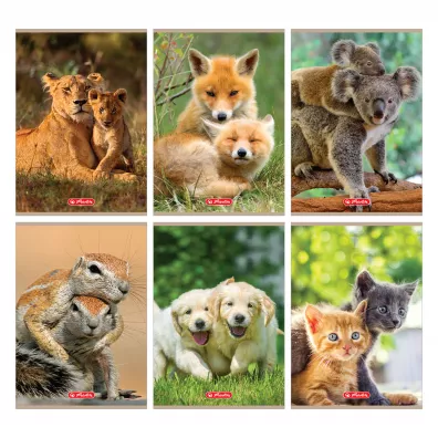 Herlitz Zeszyt A5 Animals mix dwie linie 32 kartki
