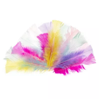 Brewis Pi�rka indycze �ci�te pastelowe 10-15 cm