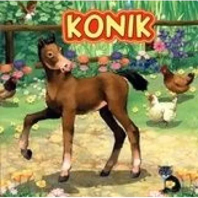 Konik - Katarzyna Campbell