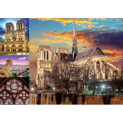 Puzzle 1000 el. Katedra Notre Dame, Pary� Educa