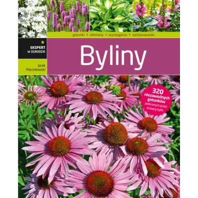 Byliny - Jacek Marcinkowski