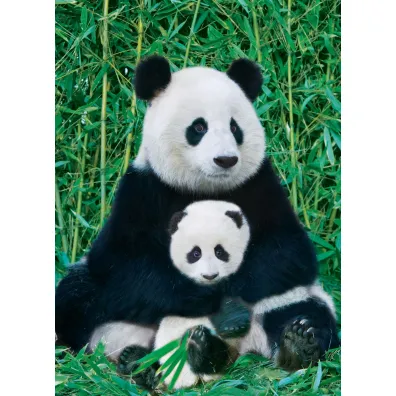 Puzzle 1000 el. Panda i dziecko Eurographics