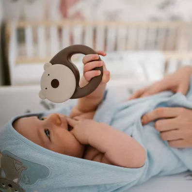 Grzechotka Bear Babyono