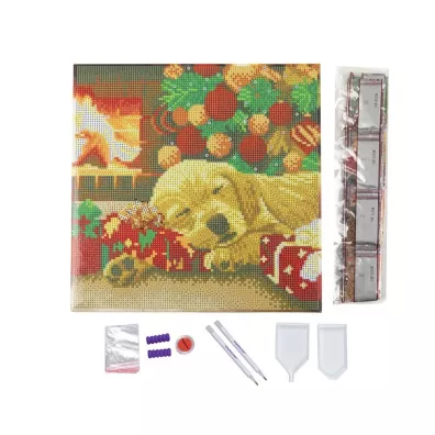 Epee Obraz na p��tnie z mozaik� Labrador 30x30cm