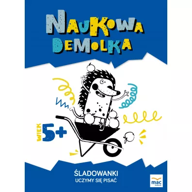 �ladowanki. Uczymy si� pisa� 5+ - Wies�awa �aba-�abi�ska, Magdalena Marczewska