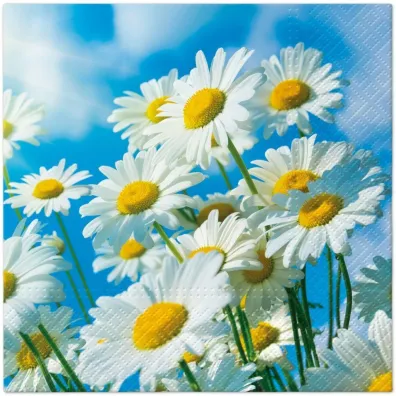 Paw Serwetki Lunch Tete a Tete Sun Daisies 33x33 20szt./op.
