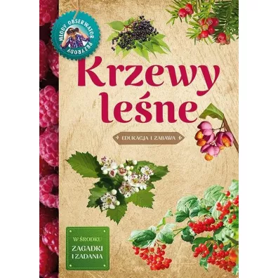 M�ody obserwator przyrody. Krzewy le�ne - Tomasz Hryniewicki
