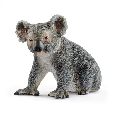 Mi� Koala