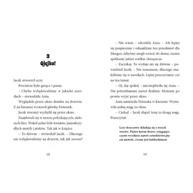 Popo�udnie nad Amazonk�. Magiczny domek na drzewie. Tom 6