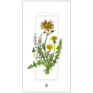 DaVinci Karnet G06 42A 325 + koperta Mlecze 12x23 cm