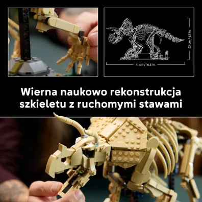 LEGO Jurassic World Szkielety dinozaur�w: triceratops 77985