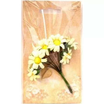 Galeria Hobby Margerytki materia�owe