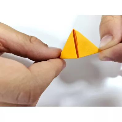 Origami 3D. Kobra Alexander