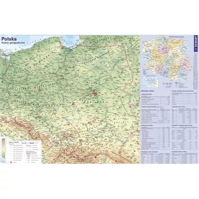 Demart Mapa Polski. Podk�adka na biurko