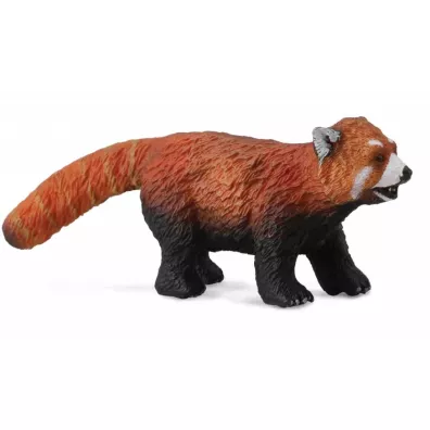 Panda czerwona