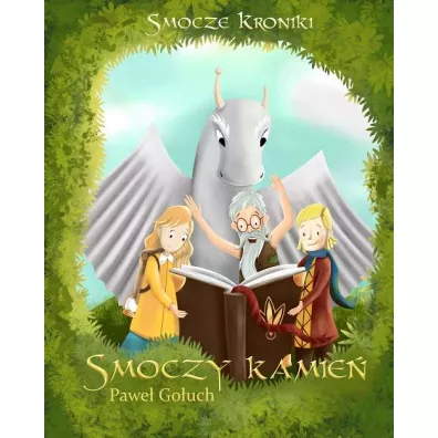 Smoczy kamie. Smocze kroniki. Tom 2 - Pawe  Gouch