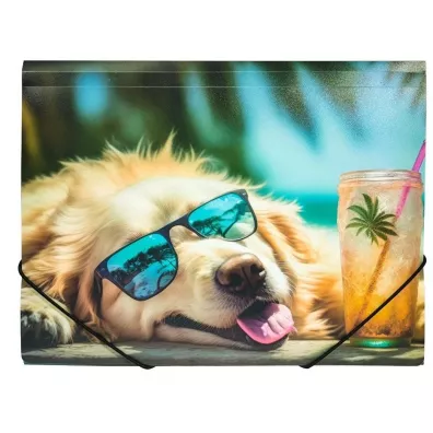 Panta Plast Teczka A4 PP z nadrukiem Chillout Dog
