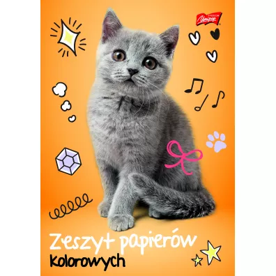 St. Majewski Zeszyt papier�w kolorowych A5