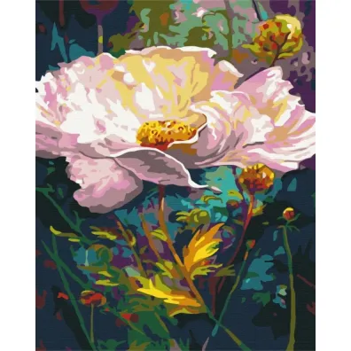 Brushme Malowanie po numerach - Wspania�y kwiat 40x50cm