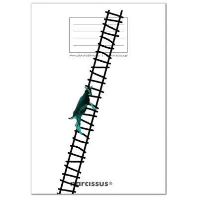 Narcissus Zeszyt A5 PP Fun Goat Ladder kratka 60 kartek 4 szt.